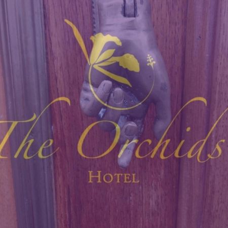 The Orchids Hotell Bogotá Exteriör bild